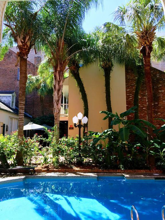 Chateau Orleans Nova Orleães Exterior foto